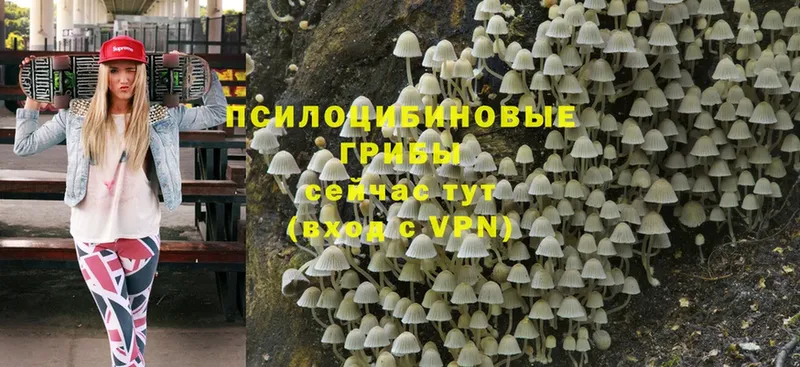 Галлюциногенные грибы Magic Shrooms  Конаково 